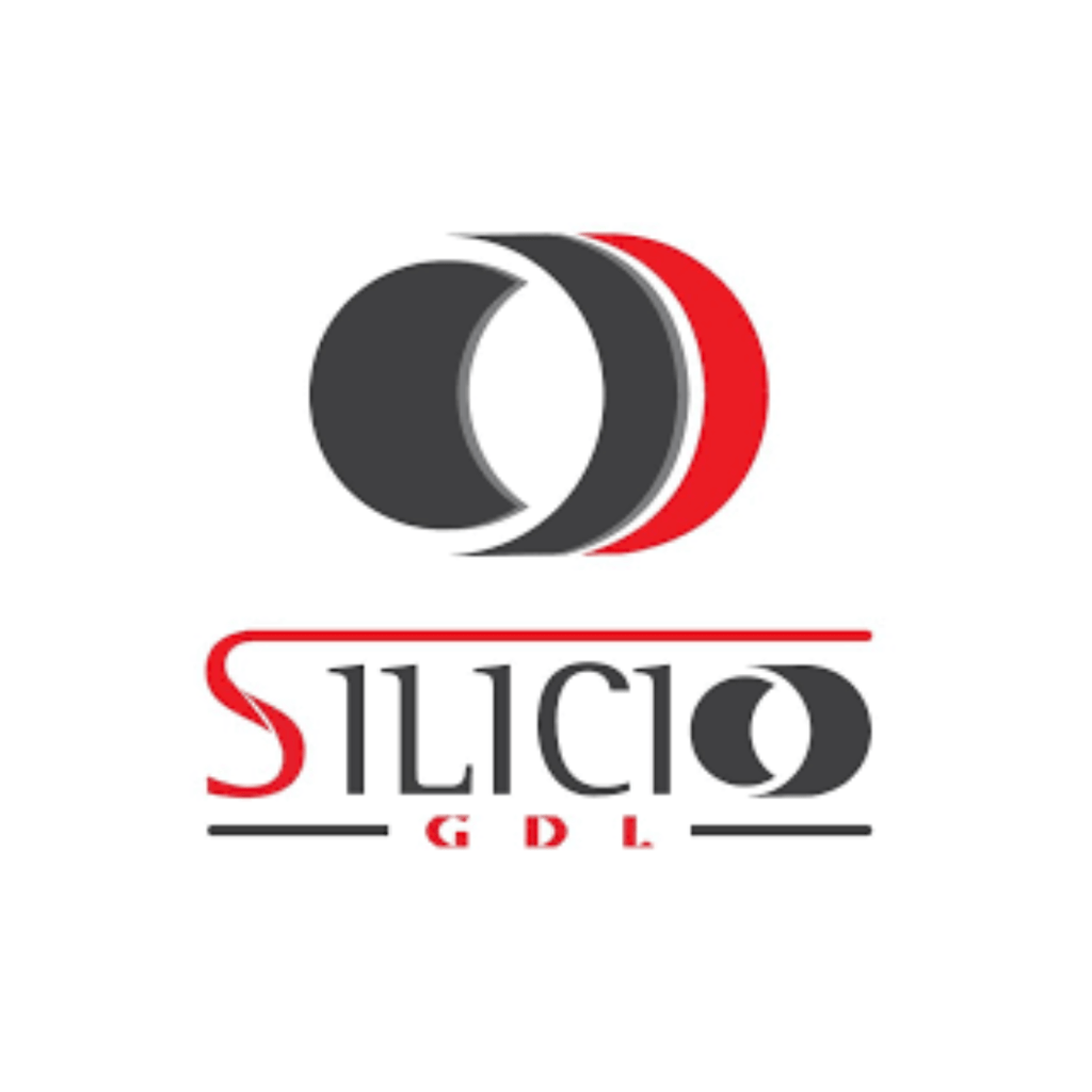 SILICIO-2